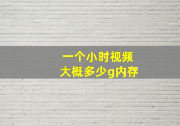 一个小时视频大概多少g内存