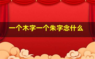 一个木字一个朱字念什么