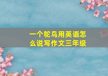 一个鸵鸟用英语怎么说写作文三年级