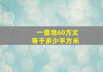 一亩地60方丈等于多少平方米