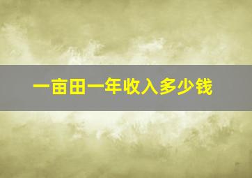 一亩田一年收入多少钱