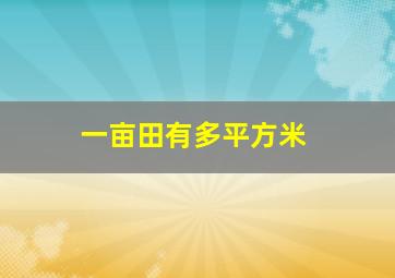 一亩田有多平方米