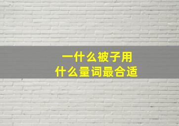 一什么被子用什么量词最合适