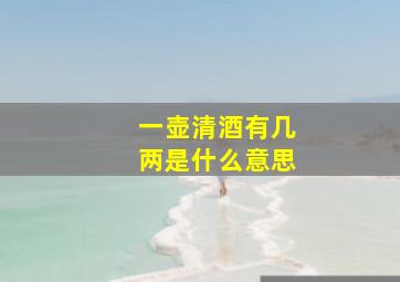 一壶清酒有几两是什么意思