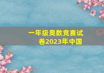 一年级奥数竞赛试卷2023年中国