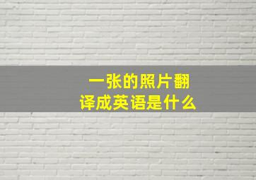 一张的照片翻译成英语是什么