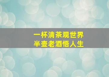 一杯清茶观世界半壶老酒悟人生