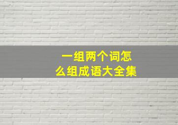 一组两个词怎么组成语大全集