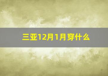 三亚12月1月穿什么