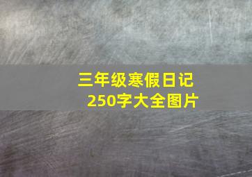 三年级寒假日记250字大全图片