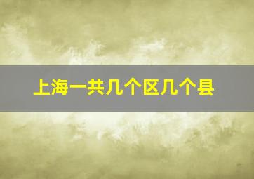 上海一共几个区几个县