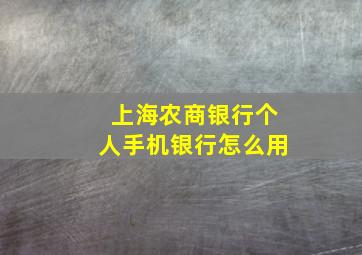 上海农商银行个人手机银行怎么用