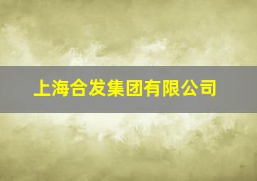 上海合发集团有限公司