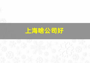 上海啥公司好