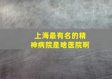 上海最有名的精神病院是啥医院啊