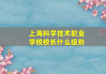 上海科学技术职业学校校长什么级别