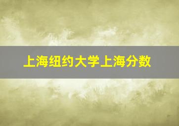 上海纽约大学上海分数