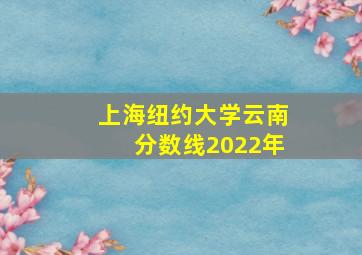 上海纽约大学云南分数线2022年