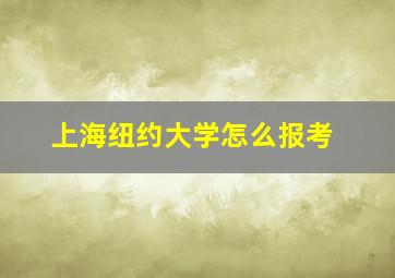 上海纽约大学怎么报考