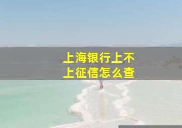 上海银行上不上征信怎么查