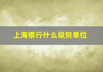 上海银行什么级别单位