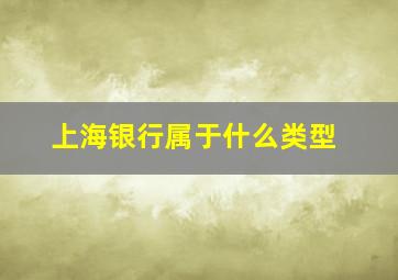 上海银行属于什么类型