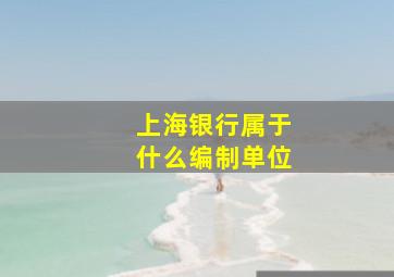 上海银行属于什么编制单位