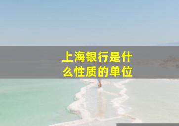 上海银行是什么性质的单位