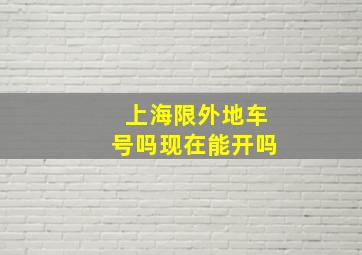 上海限外地车号吗现在能开吗