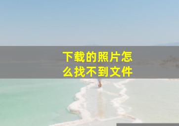 下载的照片怎么找不到文件