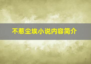 不惹尘埃小说内容简介