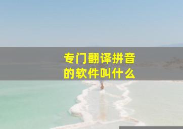 专门翻译拼音的软件叫什么