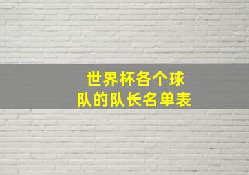 世界杯各个球队的队长名单表