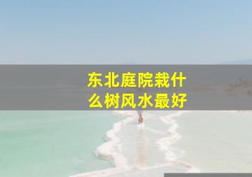 东北庭院栽什么树风水最好