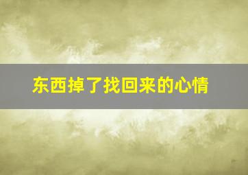 东西掉了找回来的心情