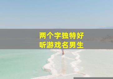 两个字独特好听游戏名男生