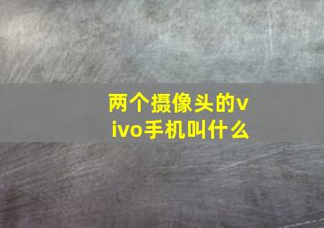 两个摄像头的vivo手机叫什么