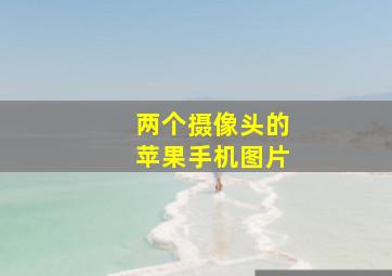 两个摄像头的苹果手机图片