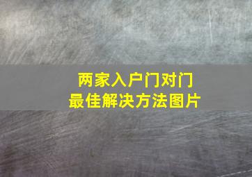 两家入户门对门最佳解决方法图片