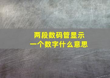 两段数码管显示一个数字什么意思