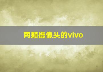 两颗摄像头的vivo