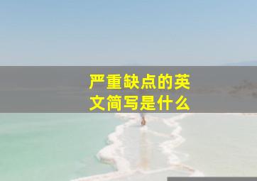 严重缺点的英文简写是什么