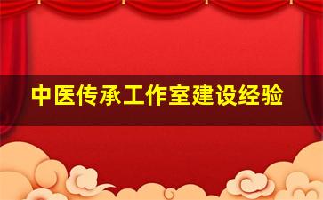 中医传承工作室建设经验