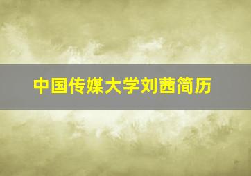 中国传媒大学刘茜简历