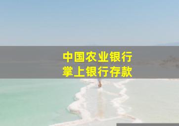 中国农业银行掌上银行存款