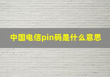 中国电信pin码是什么意思