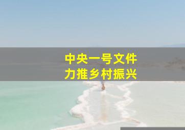 中央一号文件力推乡村振兴