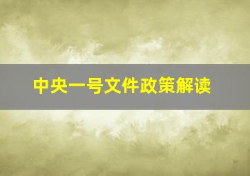 中央一号文件政策解读