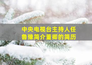 中央电视台主持人任鲁豫简介董卿的简历