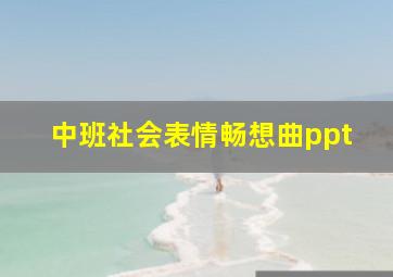 中班社会表情畅想曲ppt